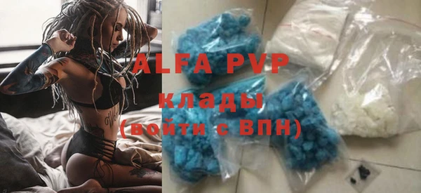 крисы Алзамай