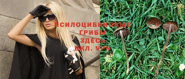 крисы Алзамай