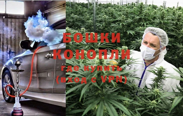 крисы Алзамай