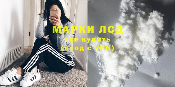 крисы Алзамай