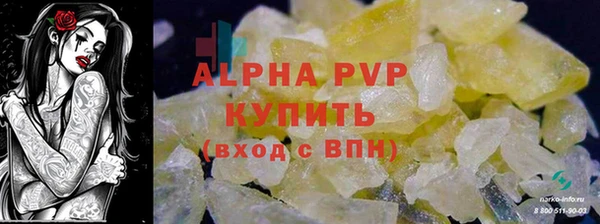 крисы Алзамай