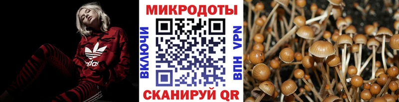 KRAKEN ТОР  Йошкар-Ола  Галлюциногенные грибы прущие грибы 