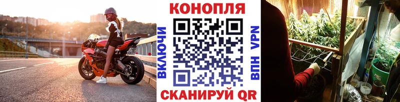 Каннабис MAZAR  Йошкар-Ола 
